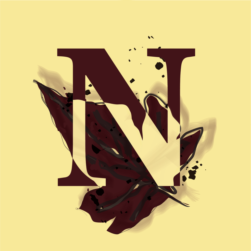 Ninebarks band circle N logo